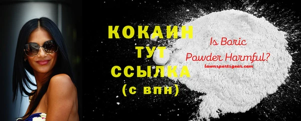 амф Ладушкин
